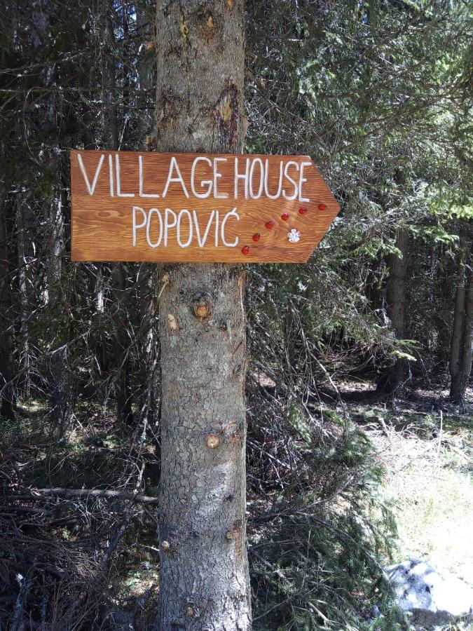 Village House Popovic Žabljak Dış mekan fotoğraf
