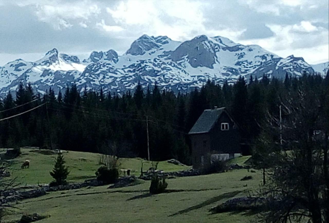 Village House Popovic Žabljak Dış mekan fotoğraf